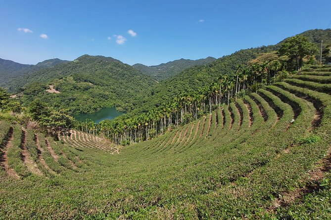 Pinglin Tea Culture & Maokong Day Tour from Taipei - The Taipei Tea Promotion Center: A Relaxed Break Before You Go Deeper