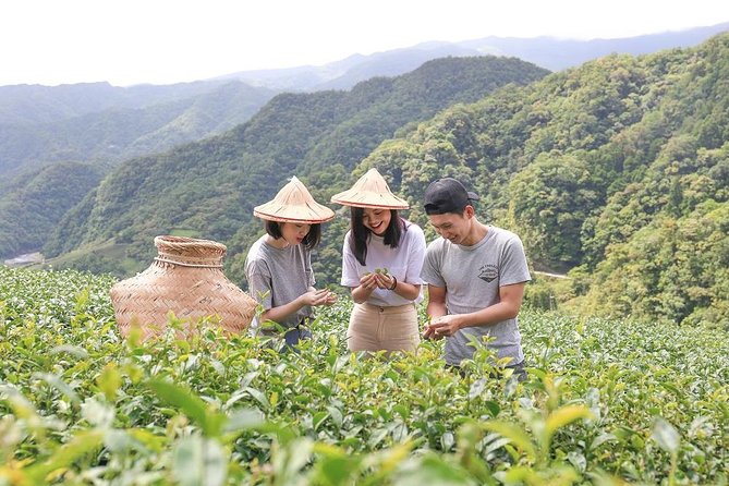 Private 1-Day Tea Experience in Taipei - Key Highlights You’ll Actually Care About
