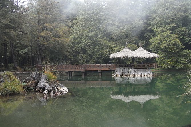 Private 3-Day Tour to Sun Moon Lake and Alishan - Hotels, breakfast, and why the price can make sense or feel steep