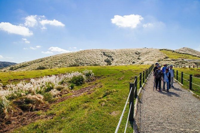 Private Yangmingshan & Beitou Tour from Taipei with Pickup - Lengshuikeng, Zhuzihu, and volcanic scenery on foot