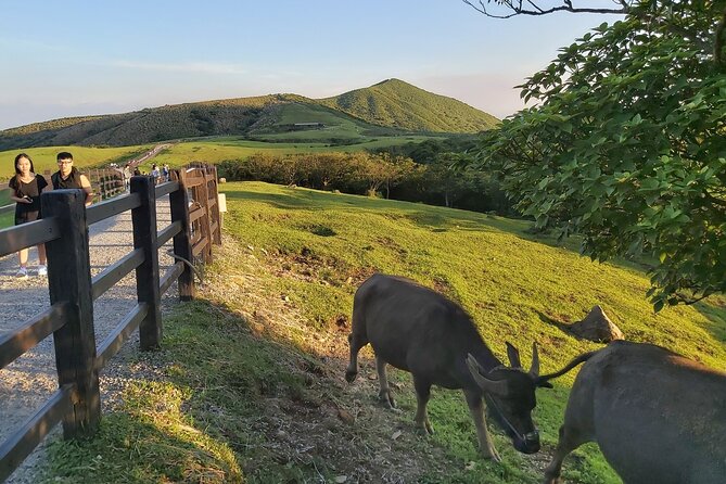 Private Yangmingshan National Park Hiking Day Tour from Taipei - Lengshuikeng: Where Panoramas Start to Pay Off
