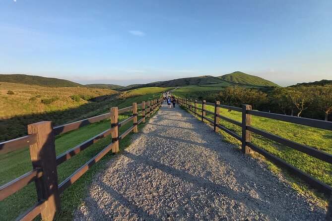 Private Yangmingshan National Park Hiking Day Tour from Taipei - What the Guides Add: Ken and Kelvin Keep You Moving in Any Weather
