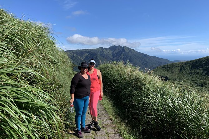 Private Yangmingshan Volcano Tour - Qingtiangang Circular Trail: Lava Terrace Views Without the Heavy Climb