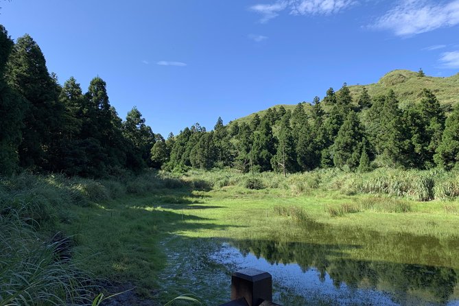 Private Yangmingshan Volcano Tour - How the $95 Private Price Actually Adds Up