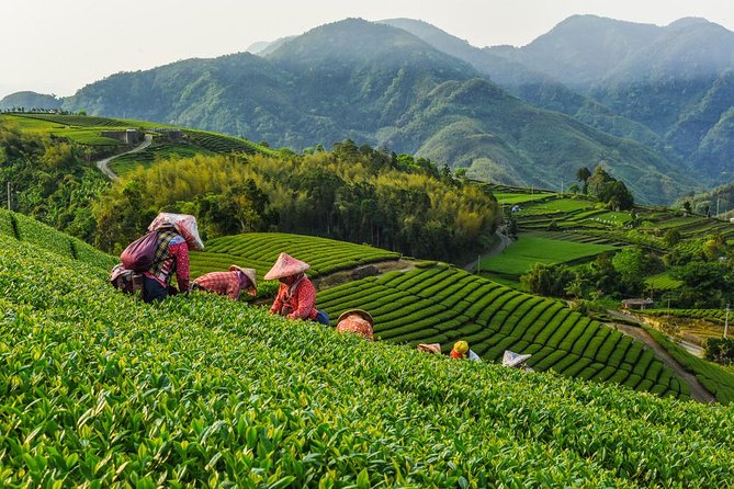 Sip & Savor: Maokong Tea & Shenkeng Stinky Tofu Private Day Tour - Key highlights that make this day tour worth your time
