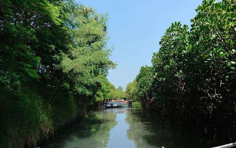 Tainan: Sicao Green Tunnel Scenic Boat Ride - Meeting at Dazhong Temple, Sicao: QR code to paper ticket, step by step