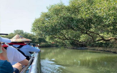 Sicao Green Tunnel Scenic Boat Ride