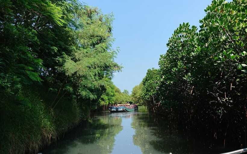 Tainan: Sicao Green Tunnel Scenic Boat Ride - Best times to go: operating hours, boat schedules, and national holiday capacity