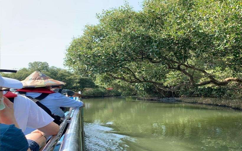 Tainan: Sicao Green Tunnel Scenic Boat Ride - On the tourist fishing raft: the 30-minute Green Tunnel experience