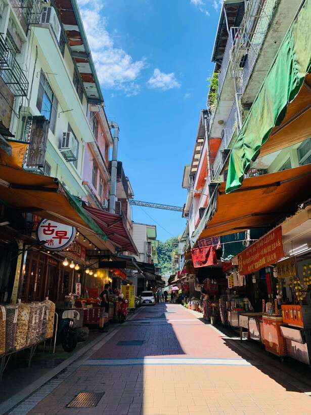 Taipei: 8 Hours Private Day Tour in Wulai with Benz Vito - Mercedes-Benz Vito logistics: door-to-door, then you get handed the day
