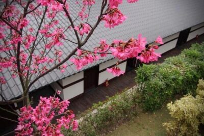 Taipei Day Tour including Taipei 101, Din Tai Fung and Hot Spring Experience