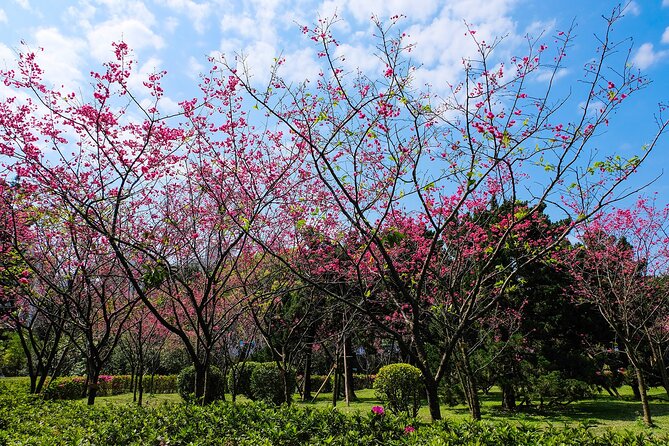 Taipei Timeout: Private 8-Hour Layover Adventures - Turning an 8-hour layover into a plan you can trust