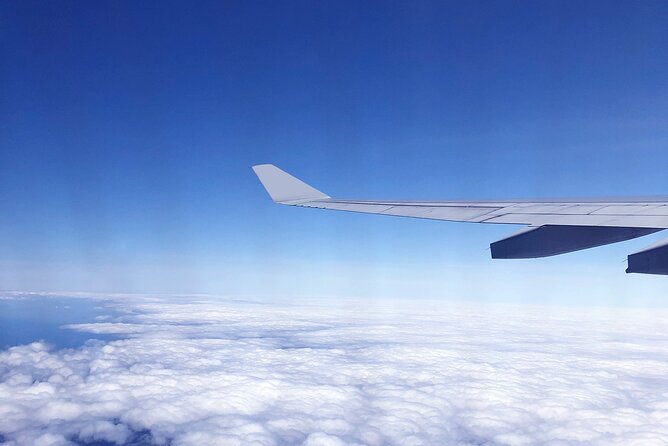 Taipei Touchdown: Make the Most of Your 6-Hour Layover - Key reasons this 6-hour layover plan is worth your time