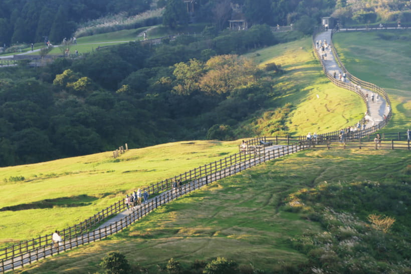 Taipei: Yangmingshan & Beitou Full-Day Tour - Beitou Hot Spring Museum and Geothermal Valley Park: learn first, then walk