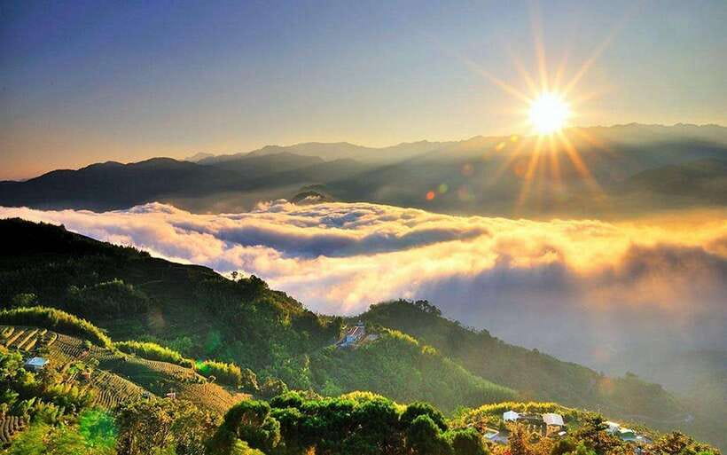 Taiwan: Alishan National Forest Recreation Area E-ticket - Key things that make this Alishan ticket worth your time