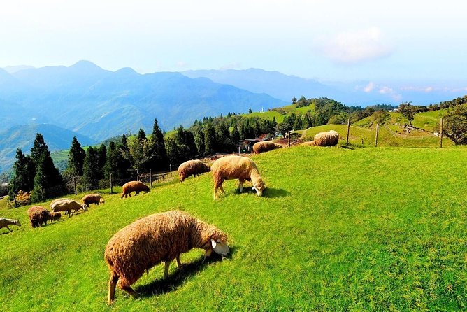 Taiwan Multi-Day Classic Tour - Taipei to Taichung: a classic route that hits the big signals