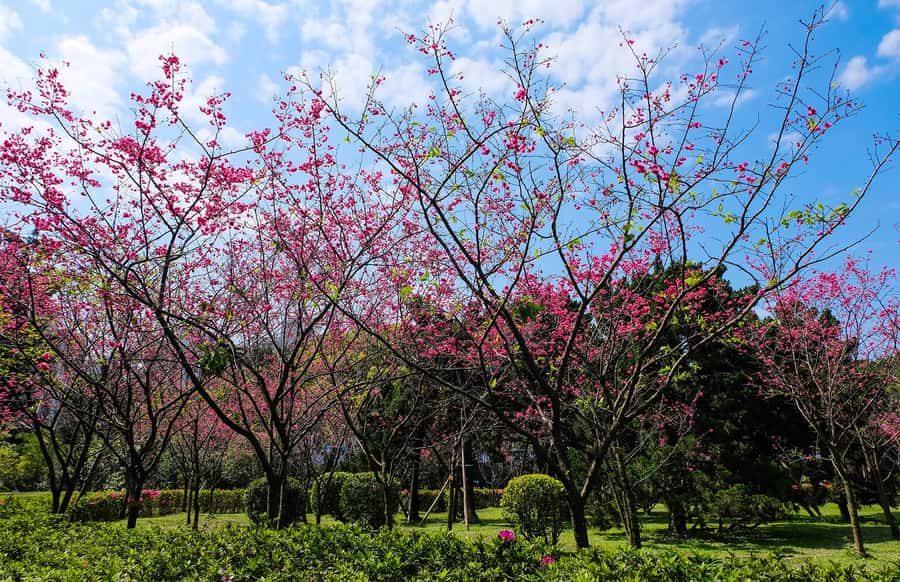 Taiwan Taipei: 8-Hour Customized Taipei City Exploration! - Key takeaways before you go