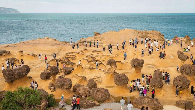 Taiwan Taipei: Customized Private Tour - Accessibility and Mobility Scooters: A Real-World Strength