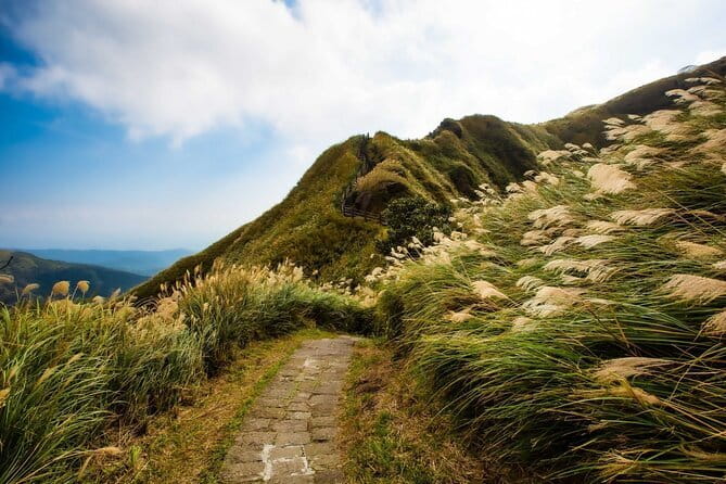 Taiwan TST : Private Tour Taipei, Yangmingshan, Beitou, Tamsui - How This Private Taipei Day Is Built for Maximum Variety