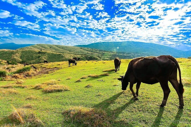 Taiwan TST : Private Tour Taipei, Yangmingshan, Beitou, Tamsui - Price and Value, Without the Guesswork
