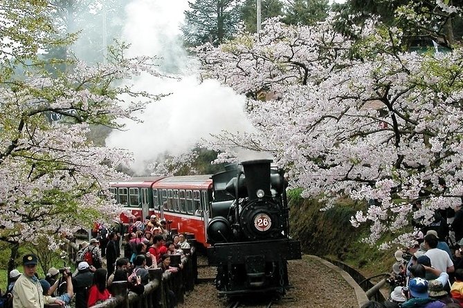 Two-day Sun Moon Lake & Alishan Forest Park Tour Package - Price and Value: $1,000 Per Group Plus What You Still Pay