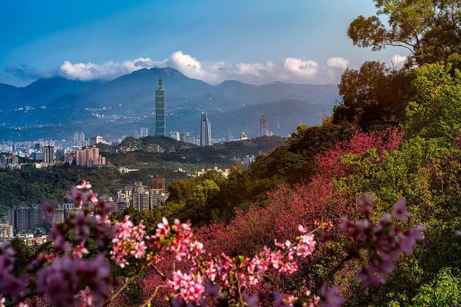 Vintage Taipei - Best of Taiwan & Sunset Walking Tour (Tip-based) - Price and tipping, and how to get the best value from a tip-based tour