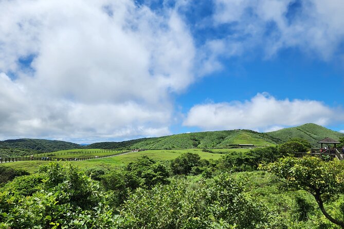 Yamingshan Volcano, Beitou Thermal Valley, Danshui Private Tour - Beitou Thermal Valley and the Green Library Stop: Steam, Color, and Quick Access