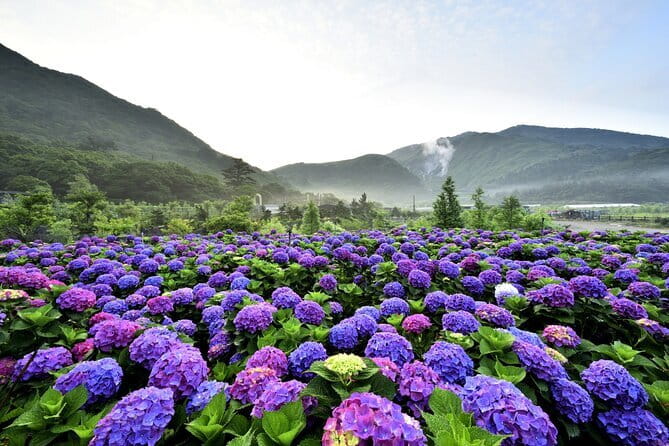 Yangmingshan, Yehliu, Jiufen & Shifen Private Tour From Taipei - Price and Value for a 12-Hour Private Day