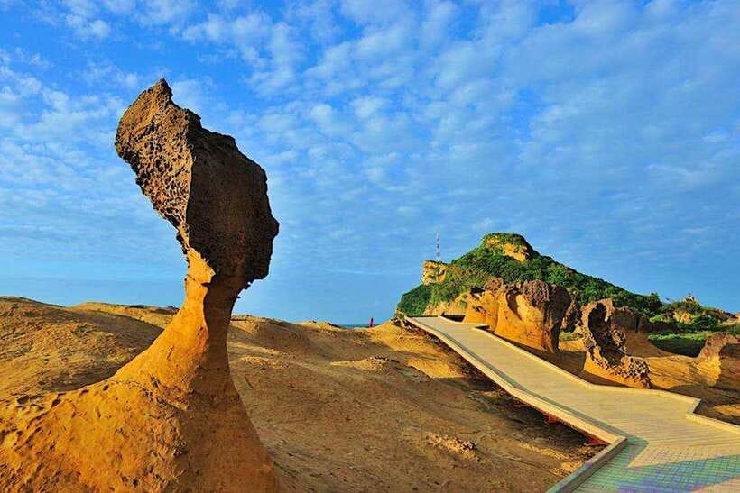Yehliu Geopark Admission Ticket - Why Yehliu Geopark feels like a real-life geology show